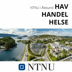 Innovasjon og økonomiutdanning ved NTNU i Ålesund.
