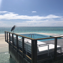 30 Min Weekly Mix 4 - DnB