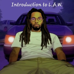 Introduction To LAW