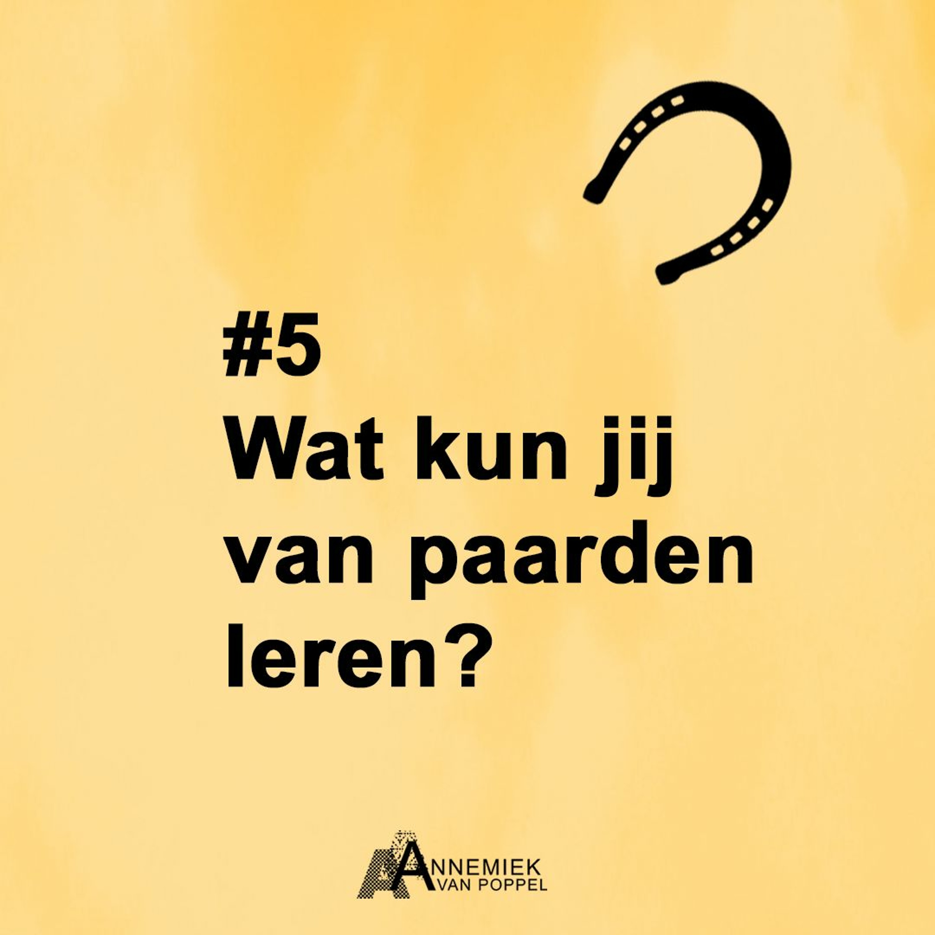 Leiderschap door de bril van...