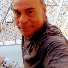Palavras Mudas