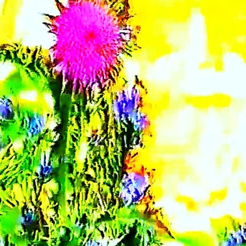 Mould