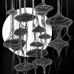 ORIGIN