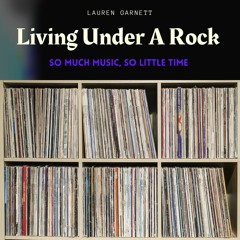 Pilot Episode Draft: Living Under A Rock