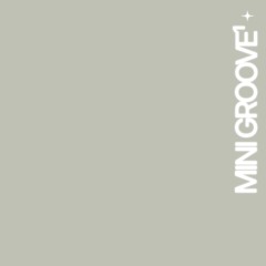 mini groove¹