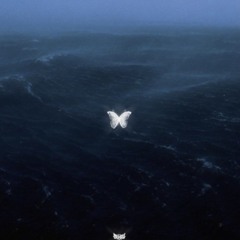 vorelentless - u gave me butterflies