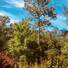 HAPPY CAMPER (ENDEAVOR INSTRUMENTAL)