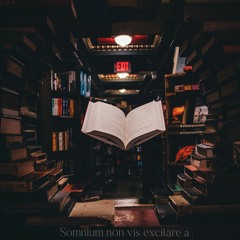 Somnium non vis excitare a (깨고싶지 않은 꿈)