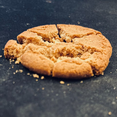 Busted Biscuit
