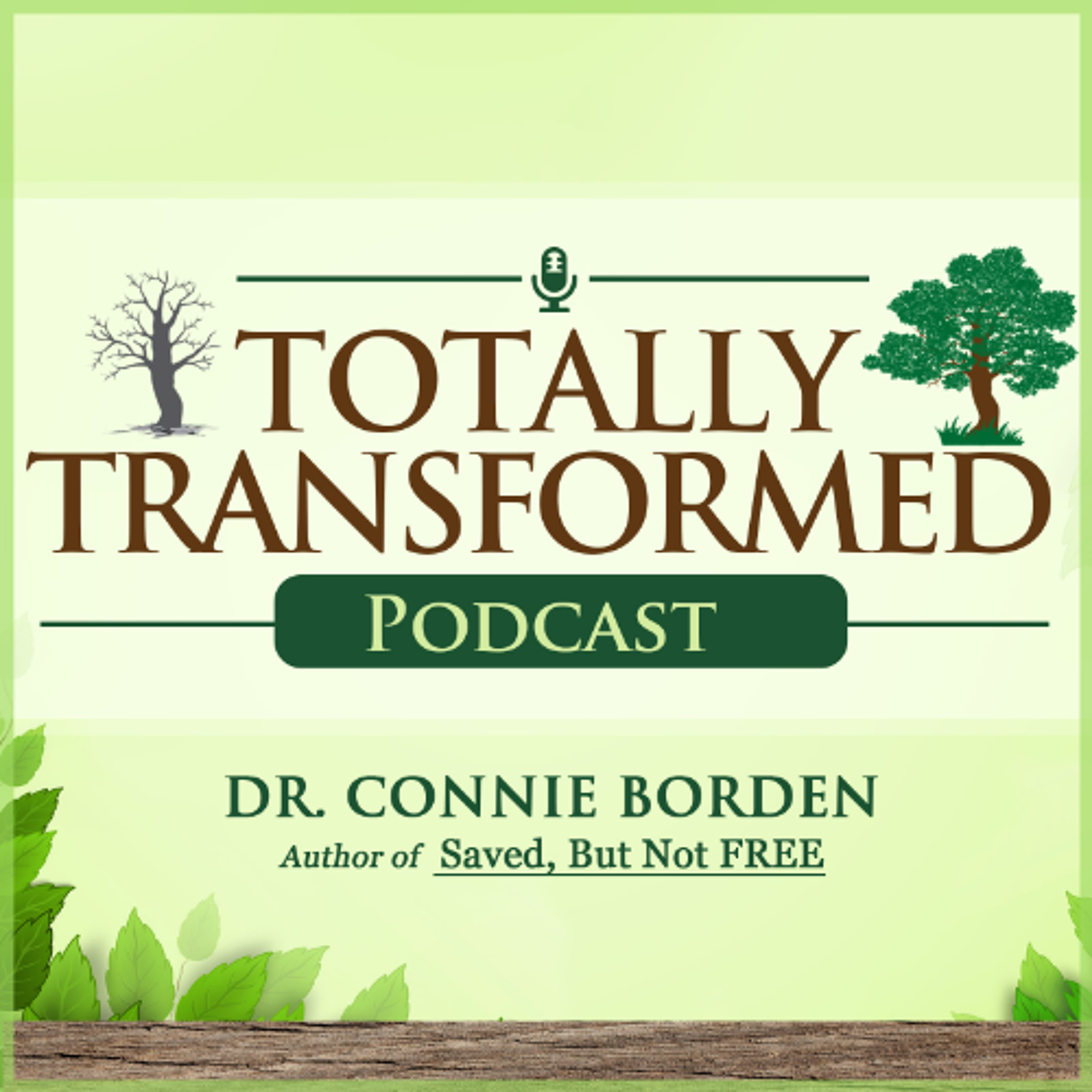 Trial Without Error - Part 9 (Meditate on God’s Word)