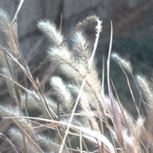 tears that shed into my pillow