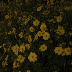 데이먼스 이어-죽지 않은 연인에게(cover)