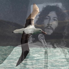Fleetwood Mac; Albatross (Blend) by Keith Fullerton Whitman @ The Lot Radio 07 - 27 - 2020