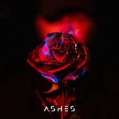 DIVICIOUX - Toxic Love