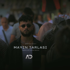 Şebnem Ferah - Mayın Tarlası ( Abdullah Demir Remix )