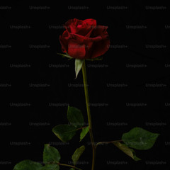 "romantic homocide" jerk x hoodtrap remix