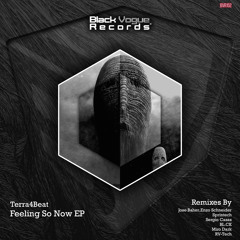 Terra4Beat - Feeling So Now (RV-Tech Remix)
