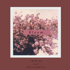 bloom. (tape 02)
