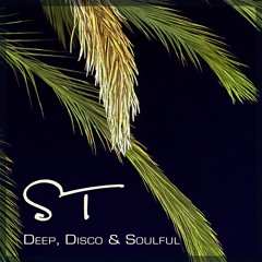 Deep, Disco & Soulful 21.02