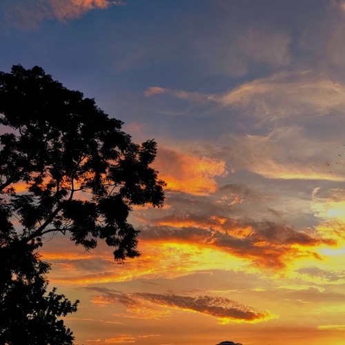 XUÂN THÌ - ACIVIII ACV REMIX by Nam Tas