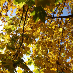 Session 249 - Soul´n´Dub Episode 16 - played on WTMO