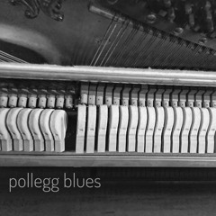 Pollegg Blues