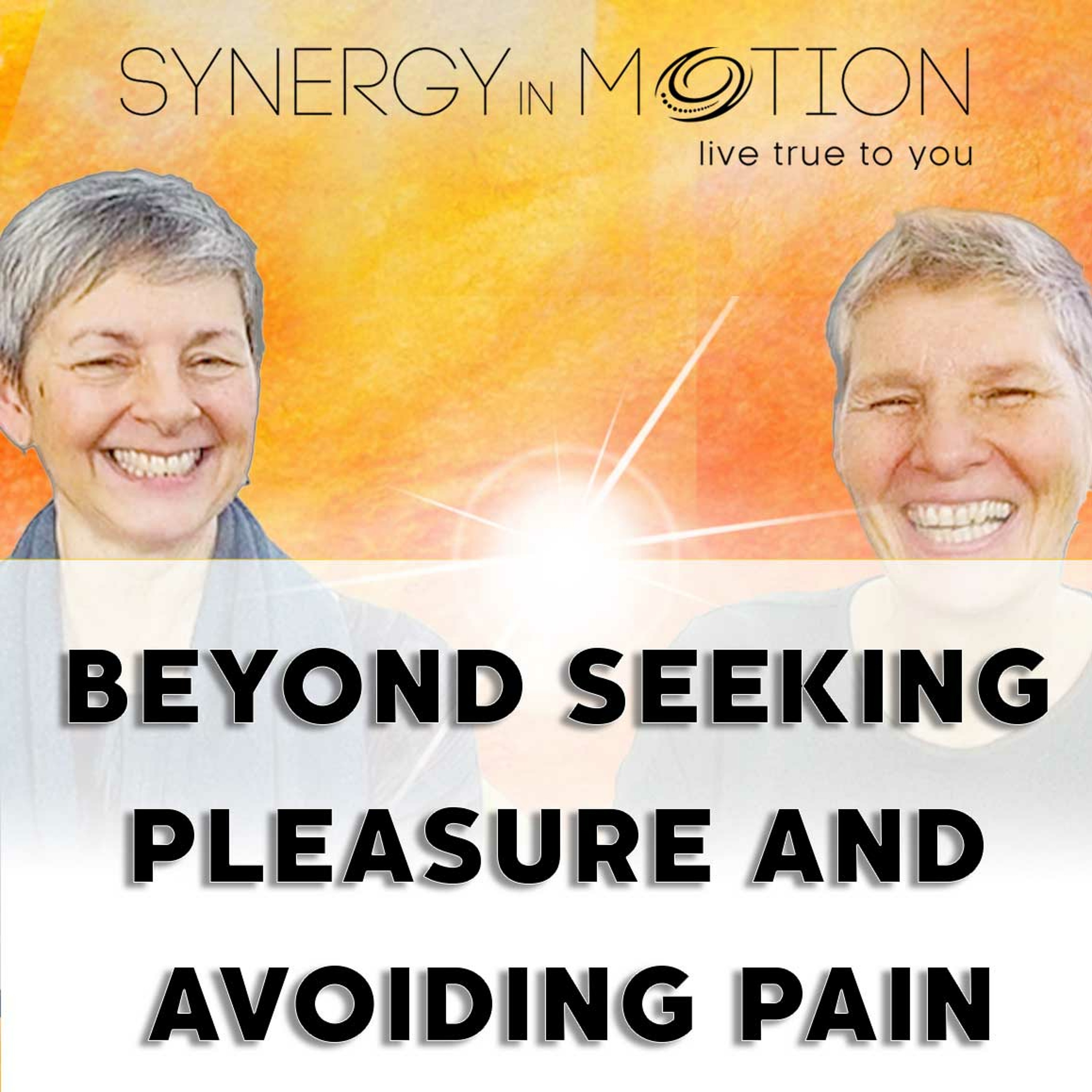 Beyond Seeking Pleasure And Avoiding Pain - Hexagram 54 episode artwork