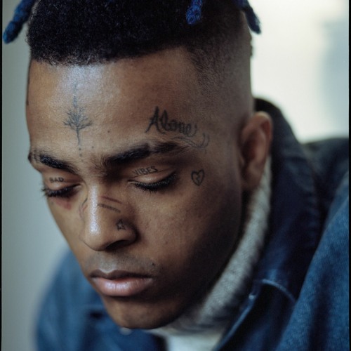 Down Below The Pines