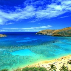 (Red music for video background free FREE DOWNLOAD