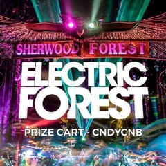 EF22 - Prize Cart (CNDYCNB Remix)