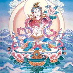 Beautiful Buddhist - 9:16:25, 9.11 PM