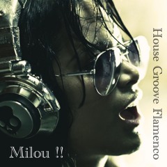 House Groove Flamenco  Mix / Milou !!  # 28