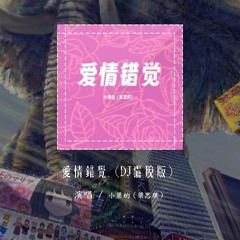 小梁的（梁思琪） - 爱情错觉 (DJ洒脱版) 「我的爱没了解你在哪一个世界」【動態歌詞/pīn yīn gē cí】#小梁的 #爱情错觉 #動態歌詞