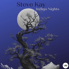 Steve Kay - Indigo Nights EP
