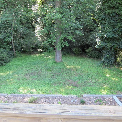 "It's whatever really ---- Reprise" [Prod. Crystalmirror331]