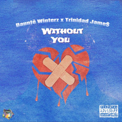 Without You Ft. Trinidad James