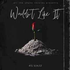 Wouldn't Like It [Prod. by C. Fre$hco]