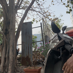 LOOP PE (Lupe) Prod. Tienas