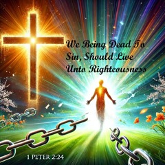 Dead To Sin Part 1