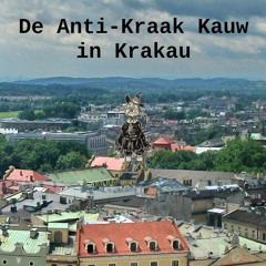 De Anti-Kraak Kauw in Krakau