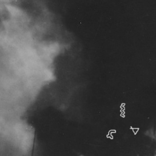 The Cherokee Princess Whispers to Me While the Circus Is On Fire