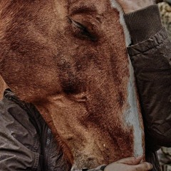 سورة الإنسان - القارئ أحمد النفيس - الكويت.mp3