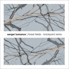 Forest fields (Knickpoint remix)