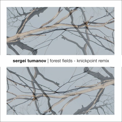 Forest fields (Knickpoint remix)