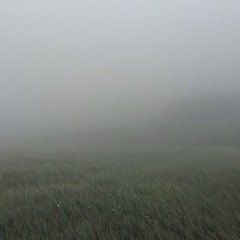 playlist for sleeping 🫂