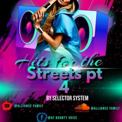 Hits for the streets pt 4 mix By Selector System