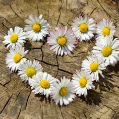 The Peace of Self-Compassion.m4a