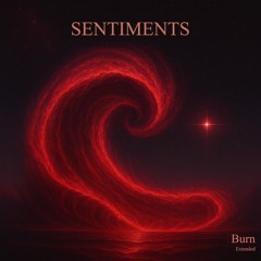 Burn Extended Version