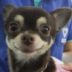 인디음악