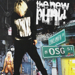 ThE NEW PUNK!